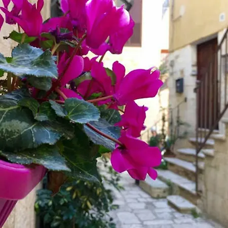 Nel Borgo Antico * Giovinazzo