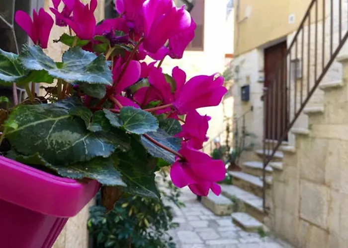 Nel Borgo Antico * 지오비나조